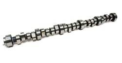 Competition Cams - Competition Cams 97-310-10 Xtreme Energy Camshaft - Image 1