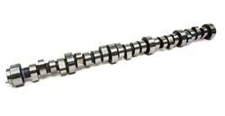 Competition Cams - Competition Cams 111-310-10 Xtreme Energy Camshaft - Image 1