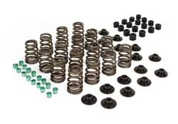 Competition Cams - Competition Cams 983-KIT Ovate Wire Valve Spring Kit - Image 1