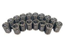 Competition Cams - Competition Cams 983-16 Ovate Wire Valve Springs - Image 1