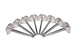 Competition Cams - Competition Cams 6021-8 Sportsman Stainless Steel Street Intake Valves - Image 1