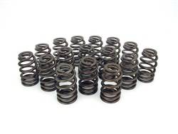 Competition Cams - Competition Cams 26955-16 Elite Drag Race Dual Valve Spring - Image 1