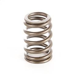 Omix-Ada - Omix-Ada 17402.10 Valve Spring - Image 1