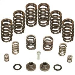 BD Diesel - BD Diesel 1040185 Governor Spring Kit - Image 1