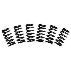 BD Diesel - BD Diesel 1030060 Valve Spring Kit - Image 1