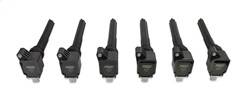 MSD Ignition - MSD Ignition 827063 Direct Ignition Coil Set - Image 1