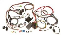 Painless Wiring - Painless Wiring 60250 Engine Wiring Harness - Image 1