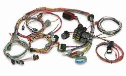 Painless Wiring - Painless Wiring 60211 Engine Wiring Harness - Image 1