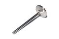 Competition Cams 6017-1 Sportsman Stainless Steel Street Intake Valves