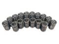 Competition Cams 983-16 Ovate Wire Valve Springs