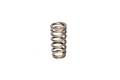 Camshafts and Valvetrain - Valve Spring - Competition Cams - Competition Cams 26123-1 Beehive Performance Street Valve Springs