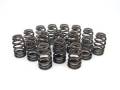 Competition Cams 26995-16 Beehive Performance Street Valve Springs
