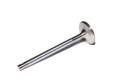 Competition Cams 6002-1 Sportsman Stainless Steel Street Exhaust Valves