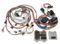Ignition - Engine Control Module - Painless Wiring - Painless Wiring 60026 Harness Kit w/Reflashed OEM PCM