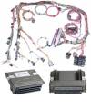 Ignition - Engine Control Module - Painless Wiring - Painless Wiring 60017 Harness Kit w/Reflashed OEM PCM