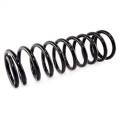 Omix-Ada 18283.01 Coil Spring