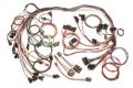 Painless Wiring 60102 Fuel Injection Wiring Harness