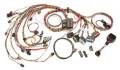 Painless Wiring 60214 Fuel Injection Wiring Harness