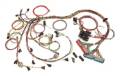 Painless Wiring 60509 Fuel Injection Wiring Harness