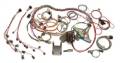 Painless Wiring 60221 Fuel Injection Wiring Harness