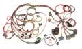Painless Wiring 60502 Fuel Injection Wiring Harness