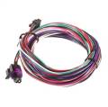 AutoMeter P19320 Spek-Pro Wire Harness