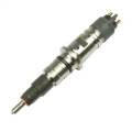 BD Diesel 1715870 Fuel Injector