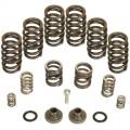 BD Diesel 1040185 Governor Spring Kit