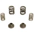 BD Diesel 1040187 Governor Spring Kit