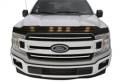 Auto Ventshade 753096 Aeroskin LightShield Hood Protector