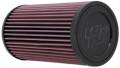 K&N Filters E-2995 Air Filter