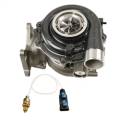 BD Diesel 1045840 Screamer Performance Exchange Turbo