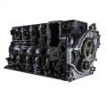 BD Diesel DJPSB100019 Essential Short Block Engine