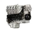 BD Diesel DJPLB100111 Precision Plus Long Block Engine